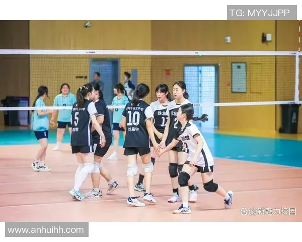 南京排球队在排球耐力排行榜中荣获第十名展现团队实力与拼搏精神 南京排球队在排球耐力排行榜中荣获第十名展现团队实力与拼搏精神